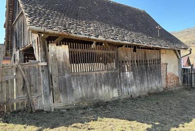 Casă cu Teren 10000 Mp în Băla - 5