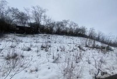 Teren intravilan 1000mp, constructii, pretabil duplex, Grigorescu - 3