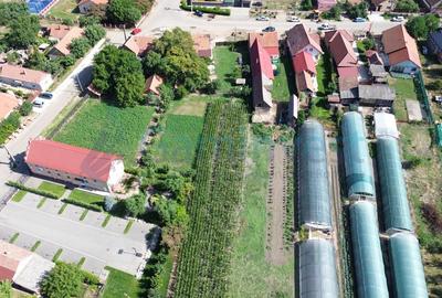 Casă individuală cu 3 camere cu Canalizare în Biharia - 5