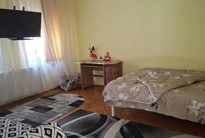 Casă cu 3 camere cu Teren 557 Mp în Brazda lui Novac - 9