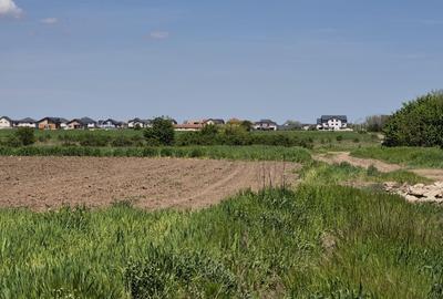 Teren agricol extravilan de 9983 mp, în Berceni - 5