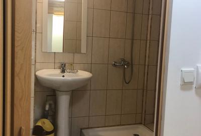 De inchiriat vila independenta pe Vasile Lascar la 5 min de Sos. Stefan cel Mare - 11