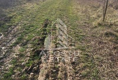 Teren de 5000 mp, în Almaș - 1