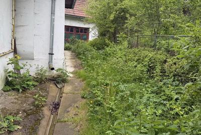 Casă cu 3 camere în Furnica - 2