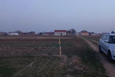 RECO Teren intravilan Girisu de Cris - 3