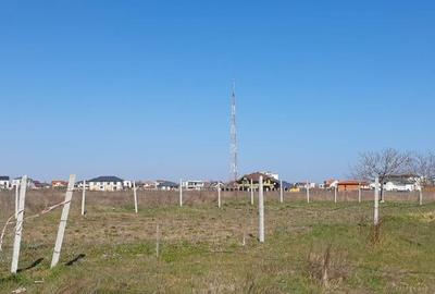 Veterani / 500 mp Veterani / 500 mp - 4