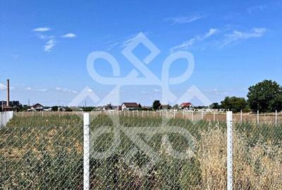 Teren intravilan 2500 mp de inchiriat in zona Oncea, Oradea - 3