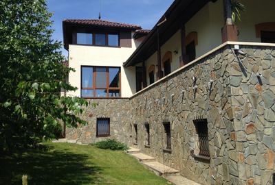 Mogosoaia,vila robusta cu vedere spectaculoasa catre lac,palat,parc,1750mp teren - 29