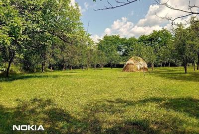 Teren de 2500 mp, în Măneciu - 5