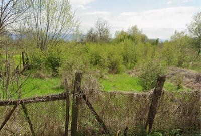 Spațiu comercial, în Caransebeș - 2