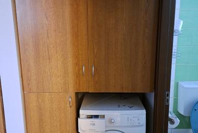 Apartament 2 camere de inchiriat Grigorescu - 8