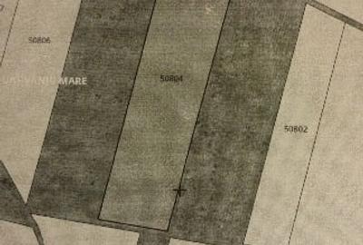 Vânzare un teren vie - 1