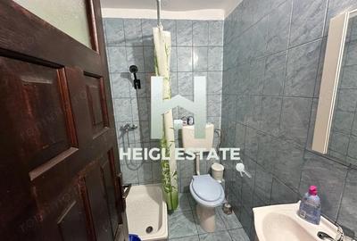 Apartament cu 1 camera in zona Buziasului Apartament cu 1 camera in zona Buziasului - 6