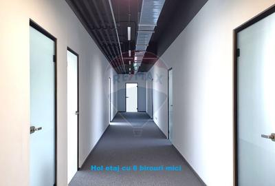 Birou, de 345 mp, în Gruia - 9