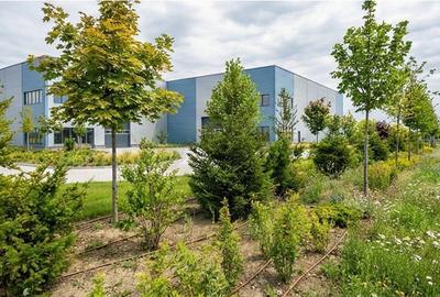 Oportunitate  PUD Aprobat – Acces Imediat Centura Bucuresti - 8