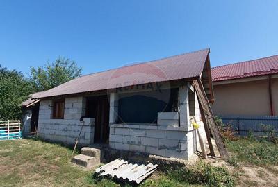 Casa Batraneasca Urechesti - 3