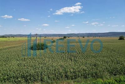 Teren de vanzare, Letea Veche, Jud. Bacau - 6