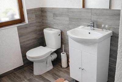 Casă cu Teren 621 Mp în Izbita - 2