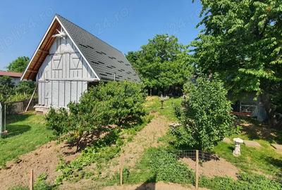 Casă în Vișan - 1