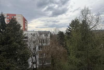 Apartament cu 3 camere decomandat în Mănăștur - 18