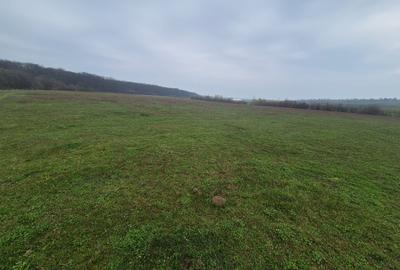 Teren extravilan de 10070 mp, în Lipoveni - 2