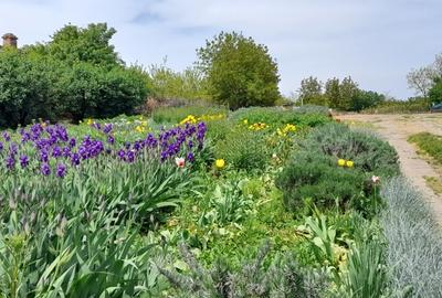 Casa 3 camere - Zorile Comuna Gradinari - 4