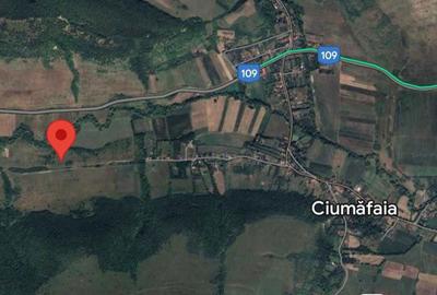 Teren de 19900 mp, în Ciumăfaia - 2