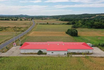 Spațiu comercial, de 1,241 mp, în Dezna - 6