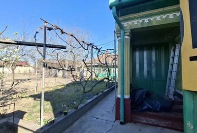 Casă cu 6 camere cu Teren 2095 Mp în Nădlac - 20