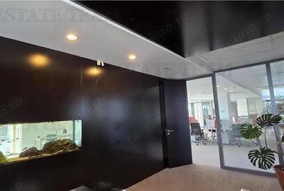 Splaiul Unirii - TImpuri Noi inchiriere spatiu birouri 7 locuri de parcare terasa - 14