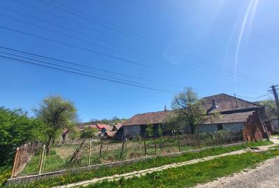 Casa la tara cu moara si trifazic laslau mare, Mures - 3