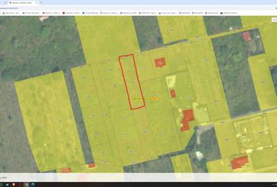 Teren de 717 mp, în Vișan - 1