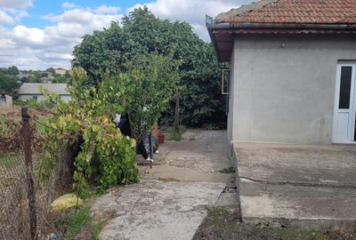 Techirghiol - casa parter cu teren 455 mp Techirghiol - casa parter cu teren 455 mp - 2