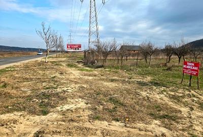 Teren Construcții intravilan de 1250 mp, în Vernești - 4