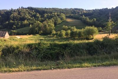 Teren de 3439 mp, în Bucium-Sat - 1