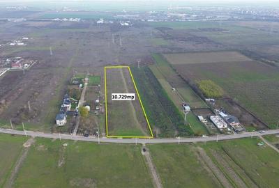 Teren intravilan + extravilan de vanzare in Campineanca str Hotarului - 5