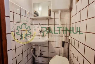 Casă singur în curte, 1.310 mp teren - Gusterița, garaj, pivniță, grădină Casă singur în curte, 1.310 mp teren - Gusterița, garaj, pivniță, grădină - 12