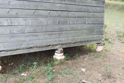Teren în Pietroasa - 5