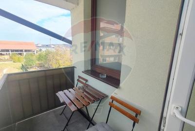 Apartament de inchiriat pet friendly - 10