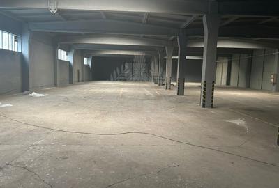Spațiu industrial, în B-dul București - 7