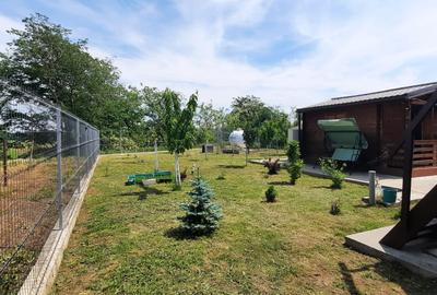 Casă individuală cu 2 camere cu Teren 795 Mp în Buturugeni - 5
