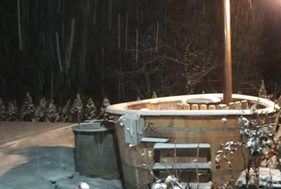 Casă în Sibiel - 2