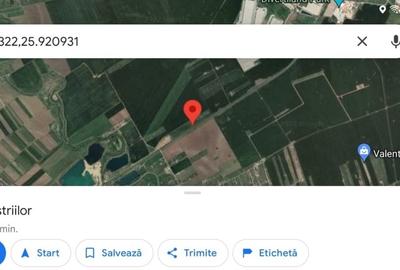 Teren Construcții intravilan de 9000 mp, în Domnești