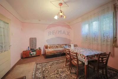 Casa de vanzare cu 3 camere ?i teren 1700 mp, in Capalna - 7