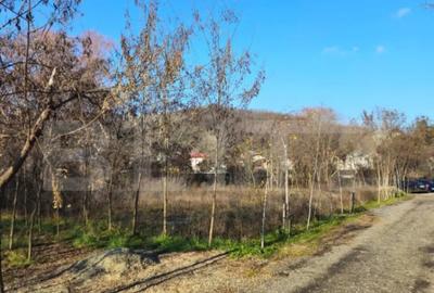 Teren de 738 mp, în Central - 7