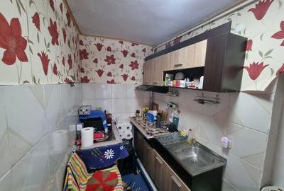 Viile noi-casa la sol cu garaj - 24