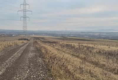 Teren cristur hunedoara parcele 500, 1000, 1500 mp - 15