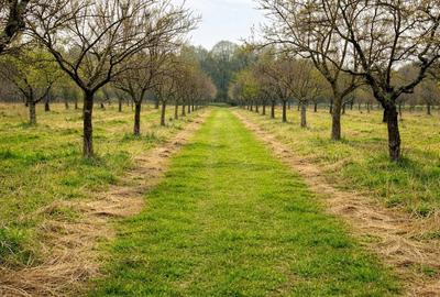 Spațiu comercial, în Morărești - 1