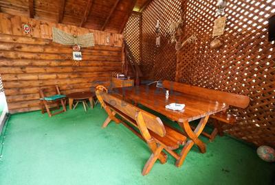 Casa de vacanta/pensiune in Dambovicioara, Arges - 43