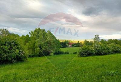 Teren 4,223mp Zarnesti - Tohanita - 32